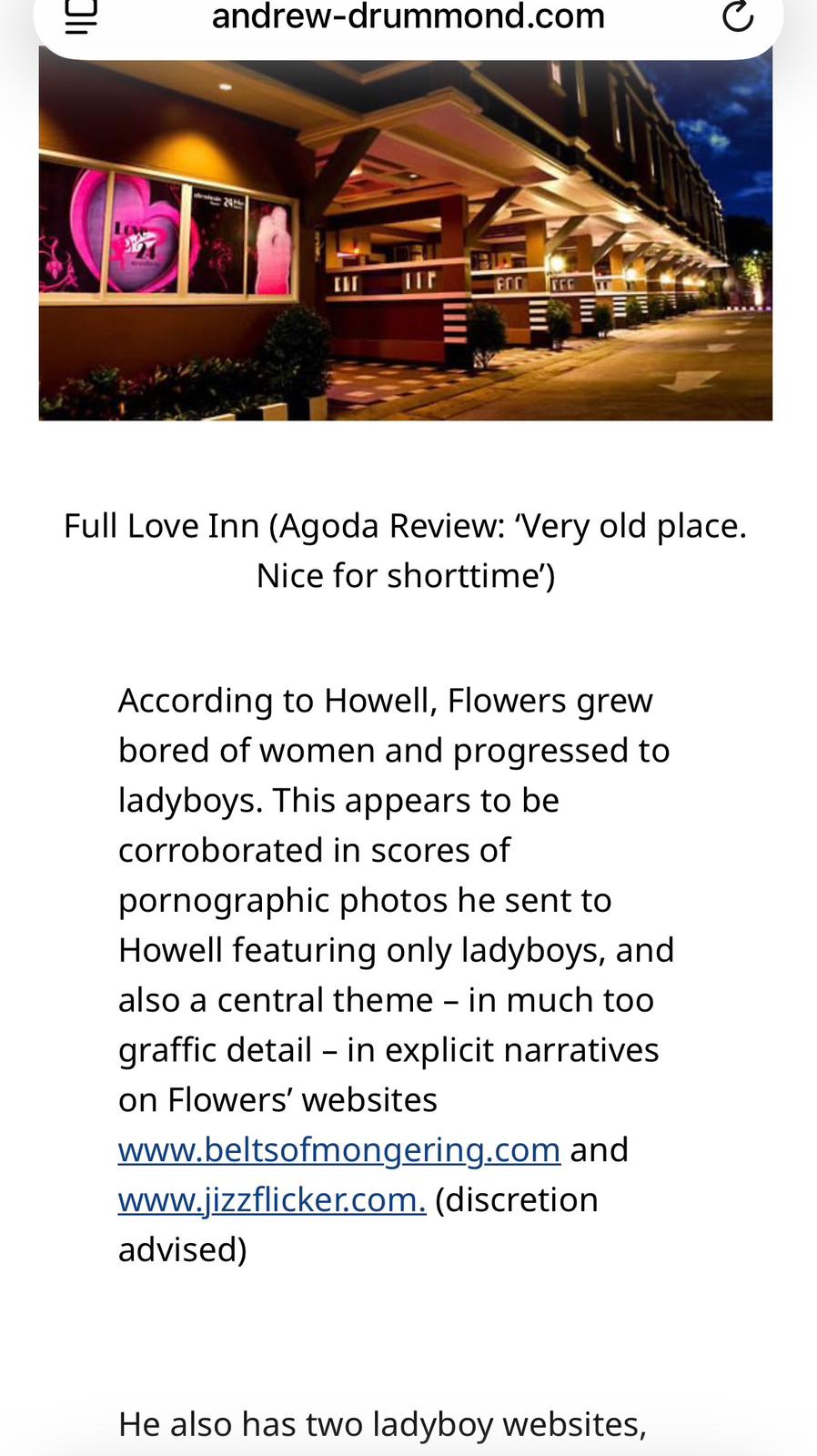 Screenshot from Andrew Drummond's website showing baseless personal attacks